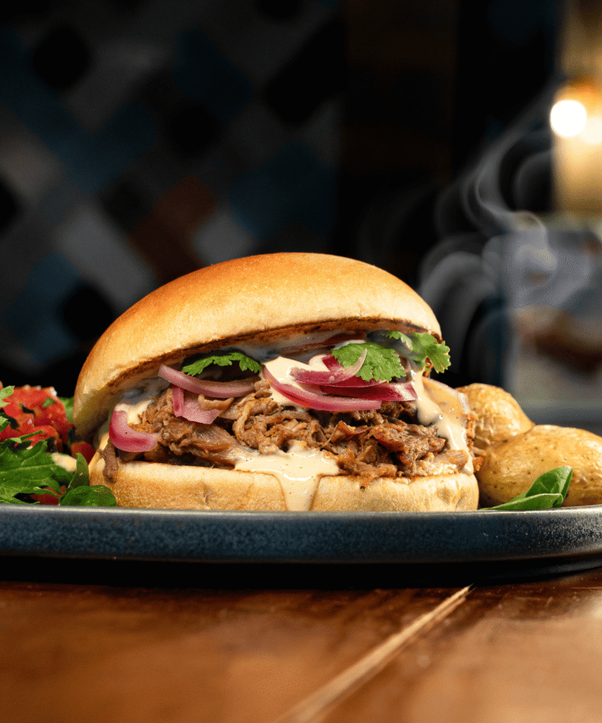 Teriyaki pulled pork-web (reduced)